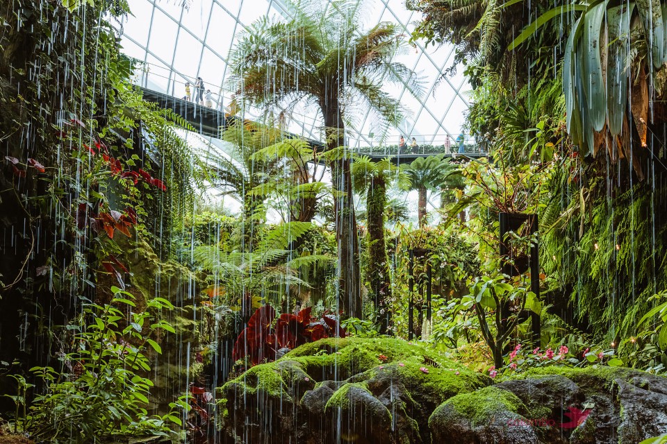 Cloud forest, Gardens by the Bay, Singapore