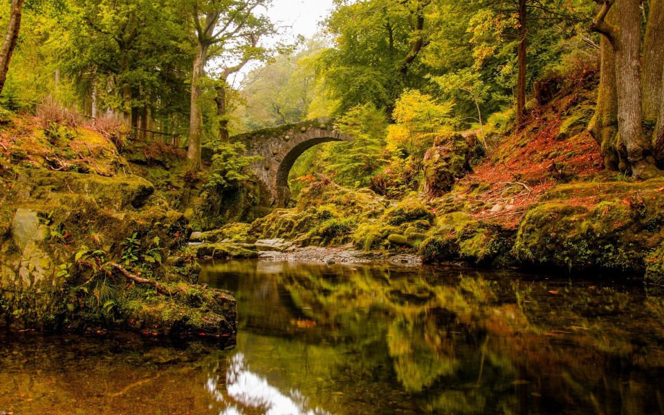 Nature Rivers And Lakes Old Stone Bridge Over Troubled River In The Forest 101682 