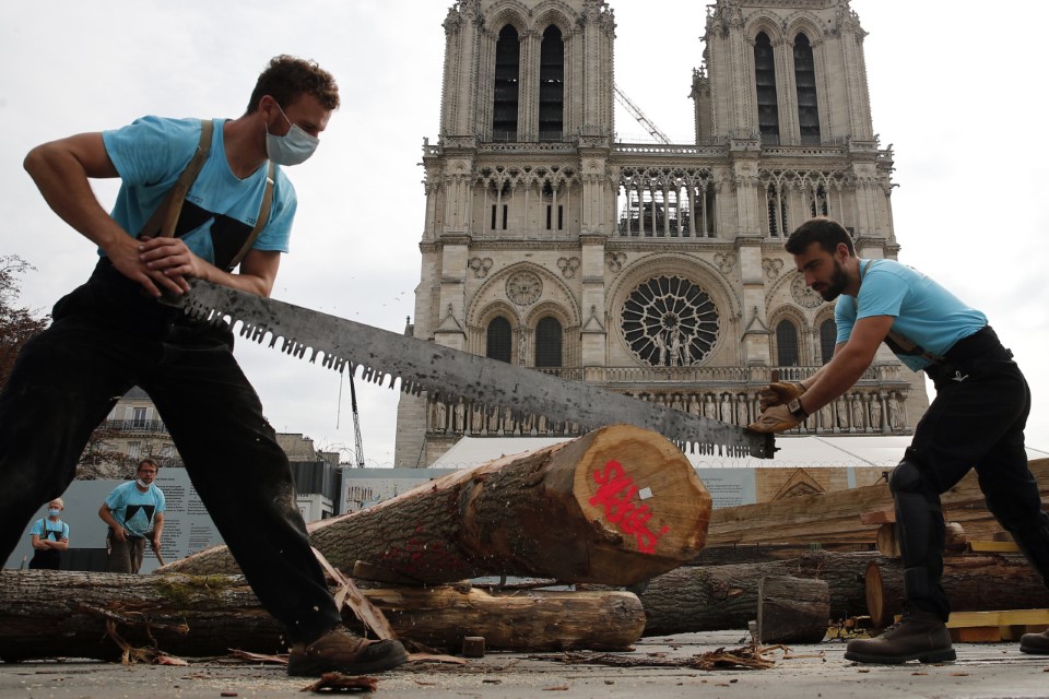 France Notre Dame