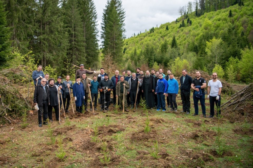 Preoti din falticeni implicati in regenerarea forestiera