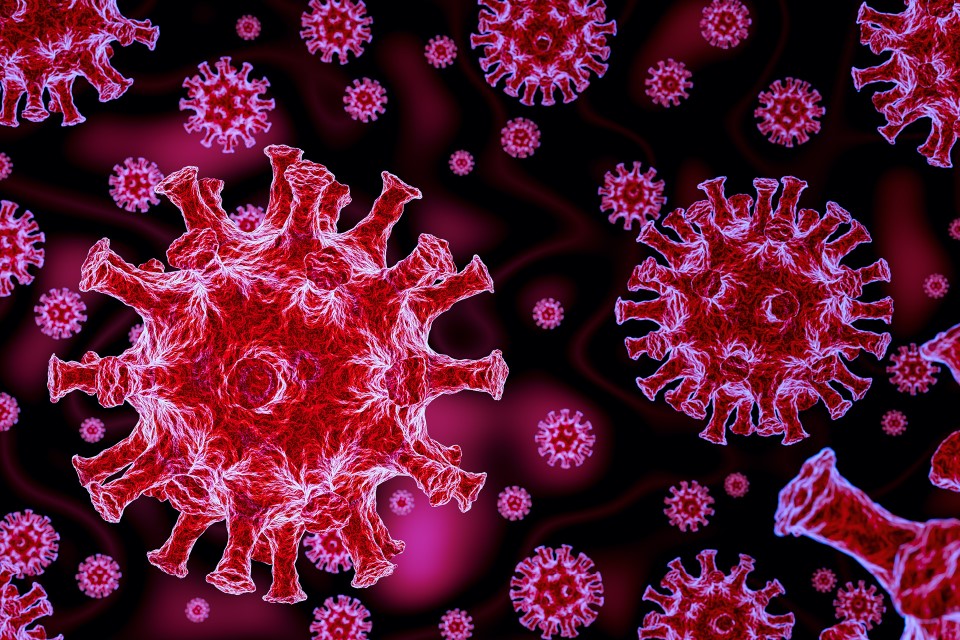3 Coronavirus iStock 1205573573 HT Pix ORG 72dpi web