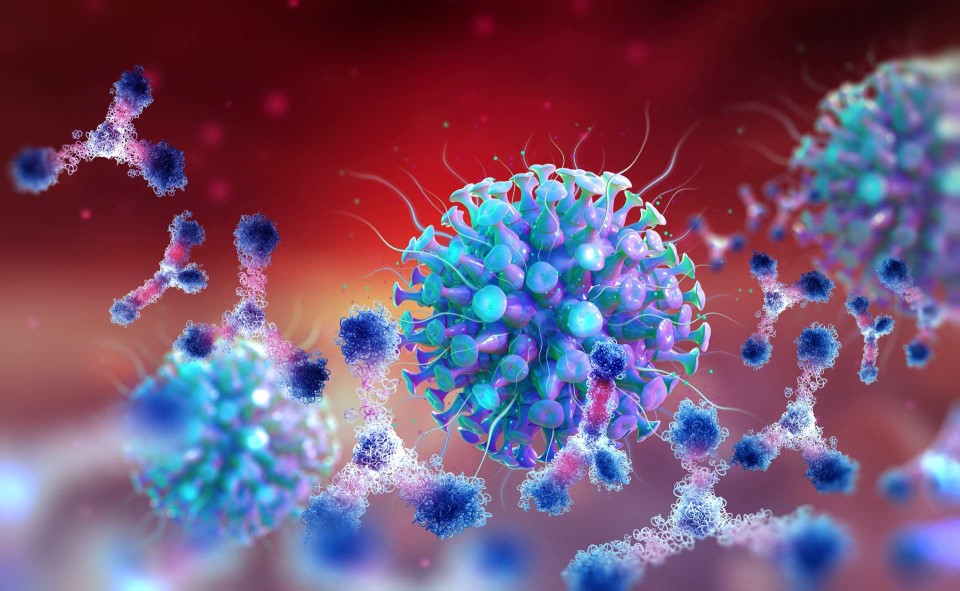 2a354825f1 50171817 variant covid19 coronavirus epidemie