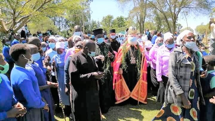 Patriarxis kenya