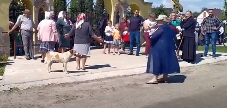 Zobrazhennia 2022 06 06
