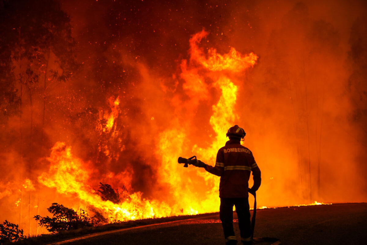 Wild Fire In Leiria, Portugal