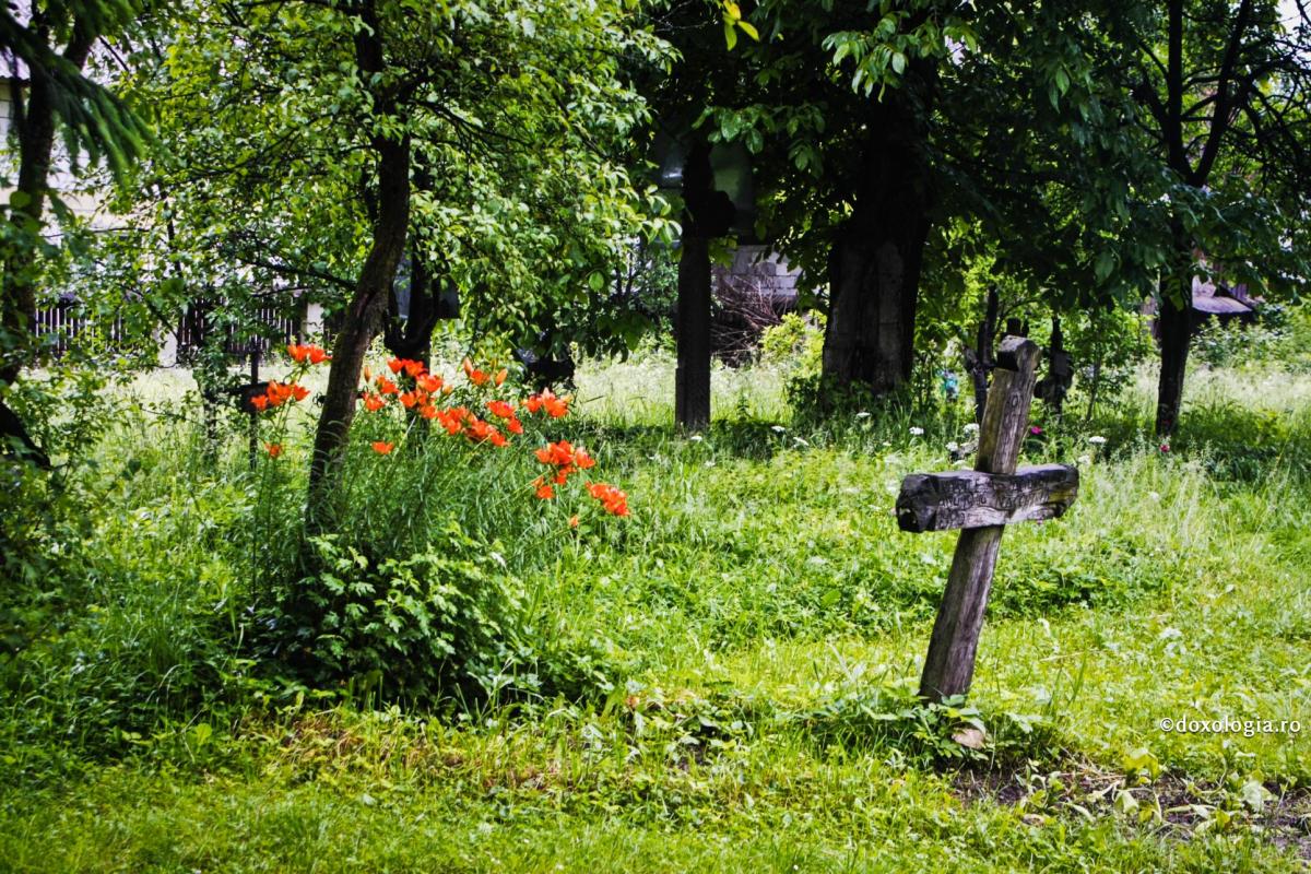 Cimitir