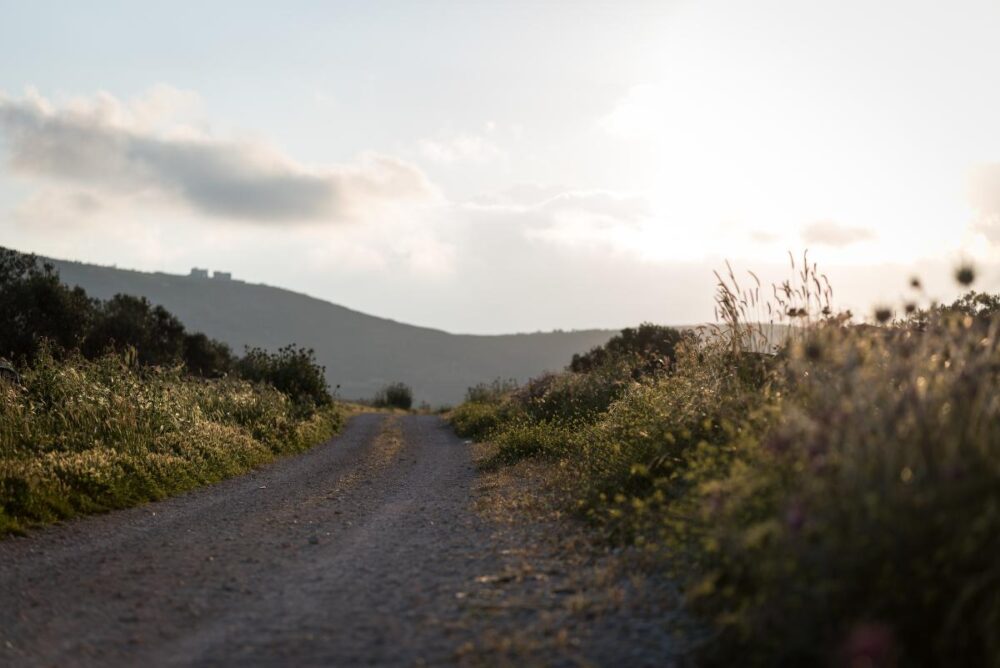 Westbank PhotoByAlbinHillert 20190417 AH1