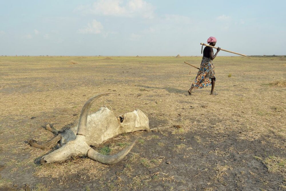 South sudan 2017 jeffrey E2013