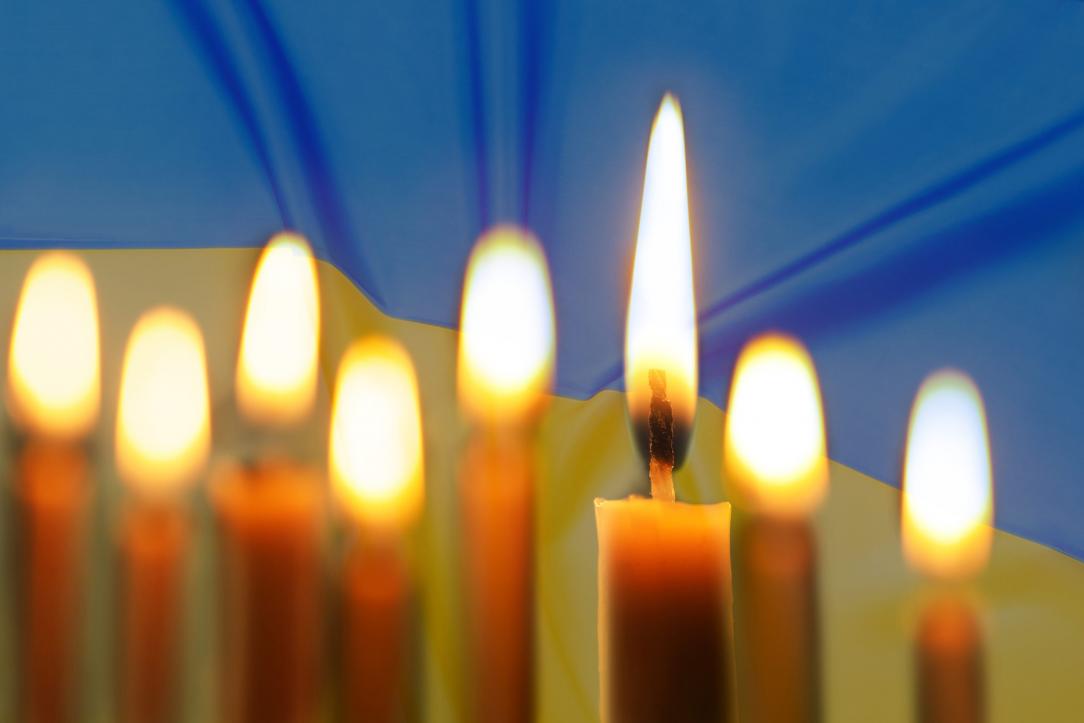 Ukrainan lippu ja tuohukset kuvituskuva istockphoto liudmila chernetska scaled