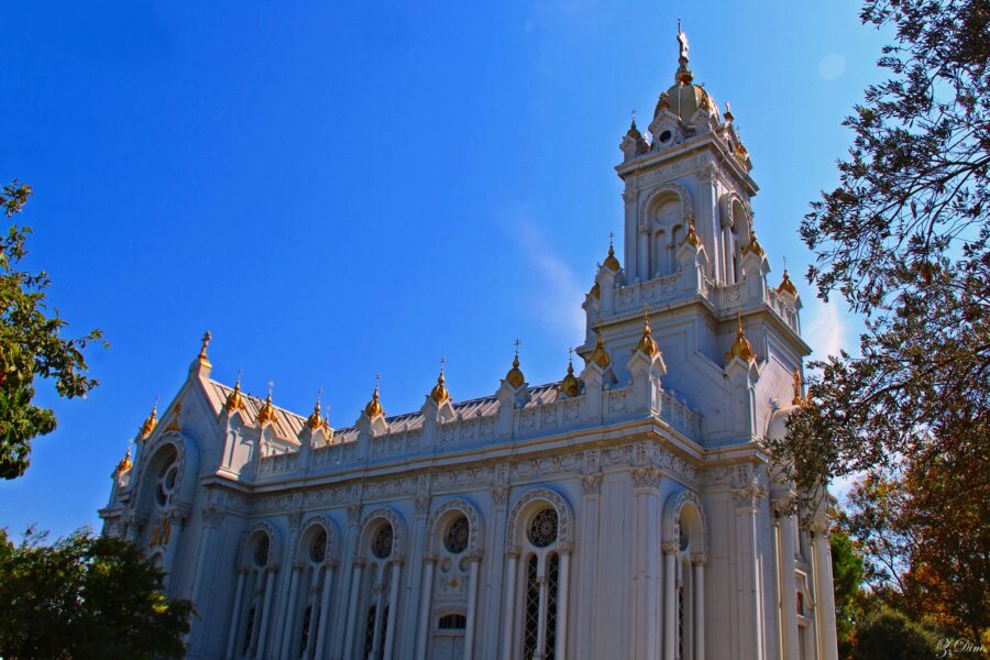 307304594 512514134209793 620128856203004824 n