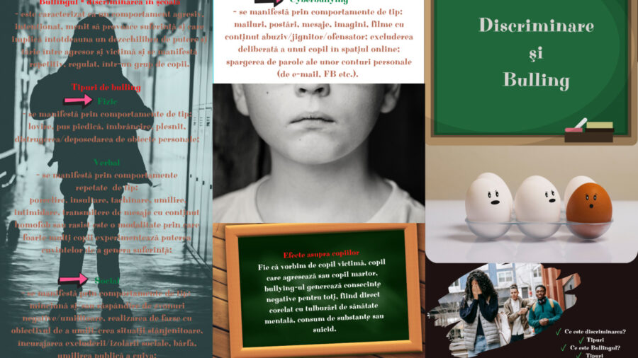 Flyer discriminare pag