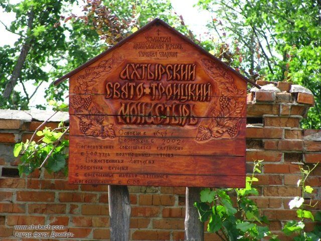 Image (1)