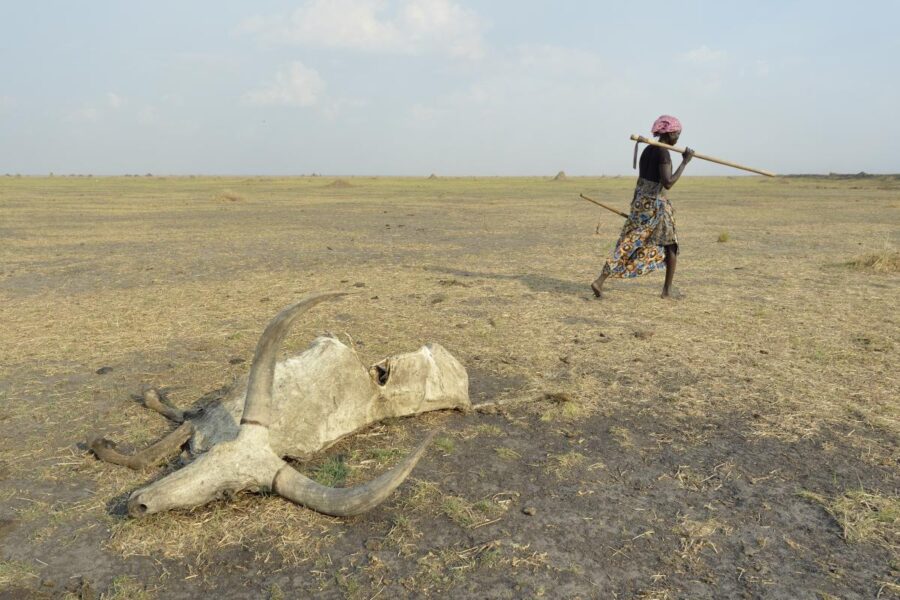 South sudan 2017 jeffrey E2013
