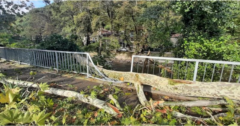 Svlachishte se e aktiviralo nad