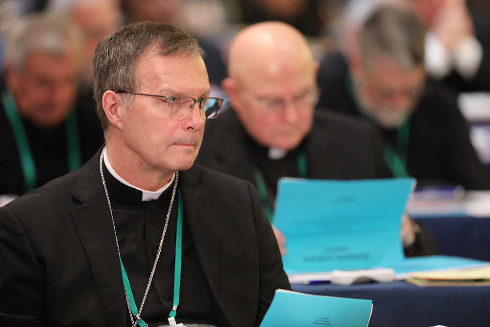 U.S. BISHOPS FALL MEETING BALTIMORE
