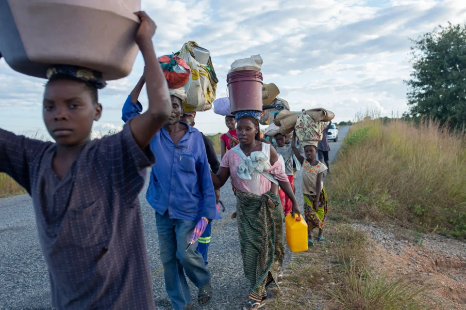 Mw