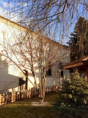 viber_изображение_2023-01-06_19-57-53-939