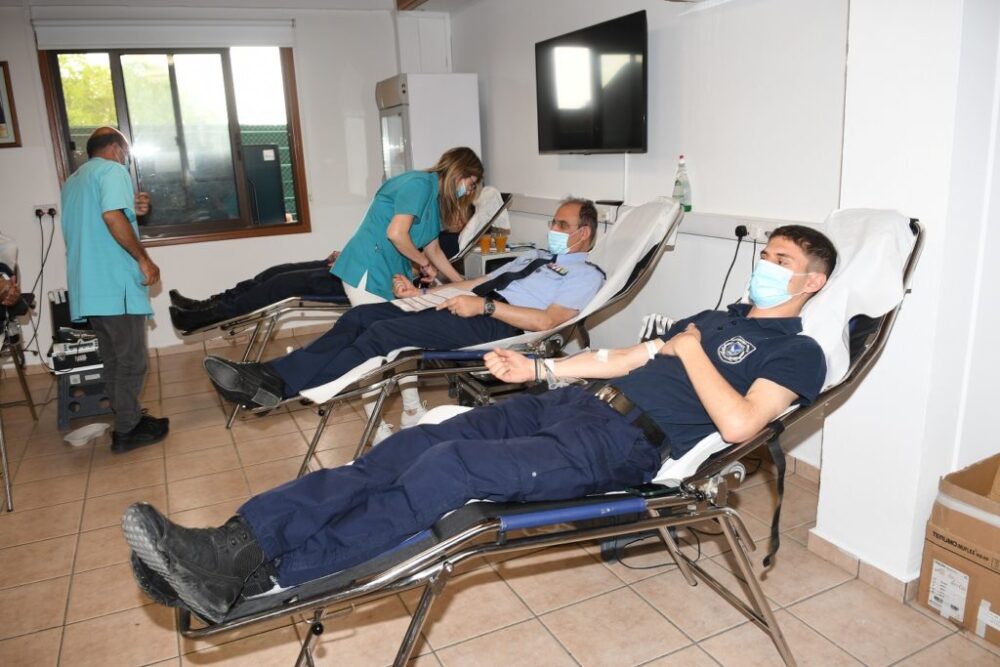 DSC 0135 1024x683