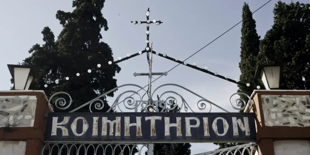Cepantelehmona2406498