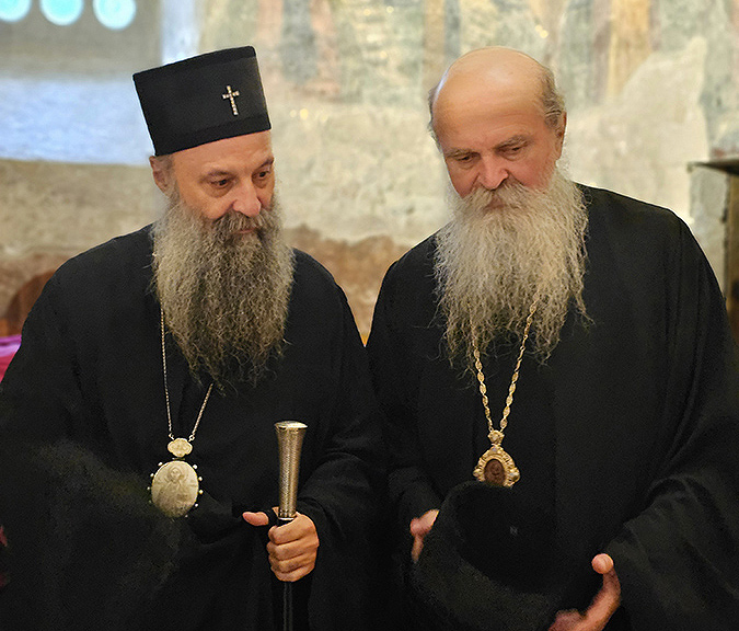 патпорф владтео