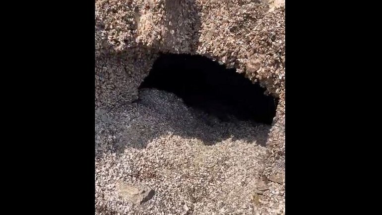 2023 07 12 11 37