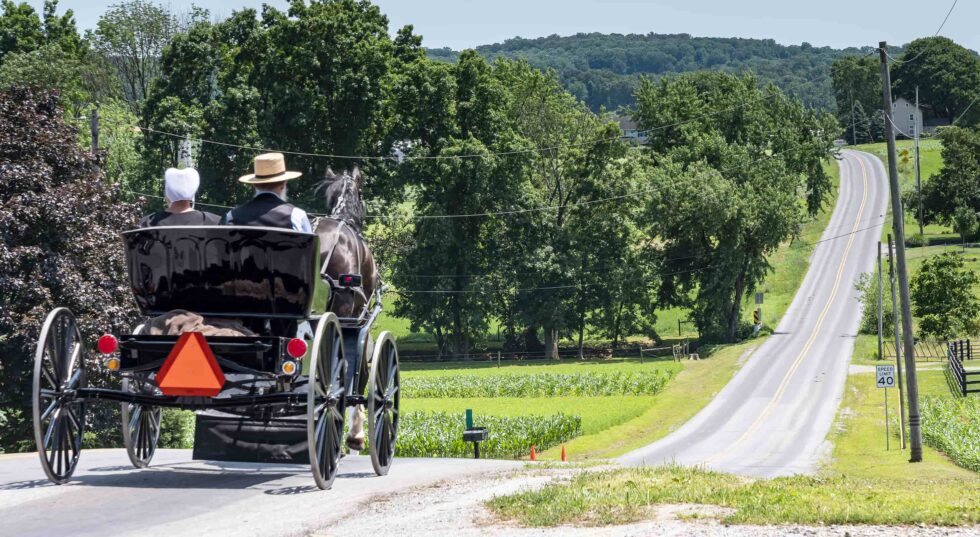 Amish country lodging amish couple in carriage slide