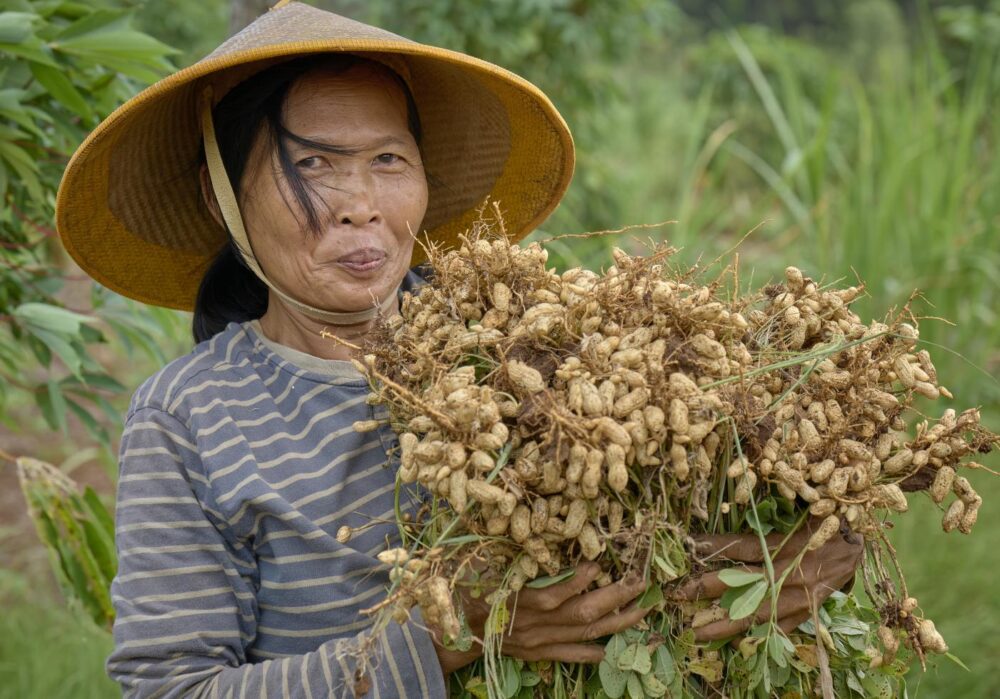 Indonesia 2023 jeffrey climate