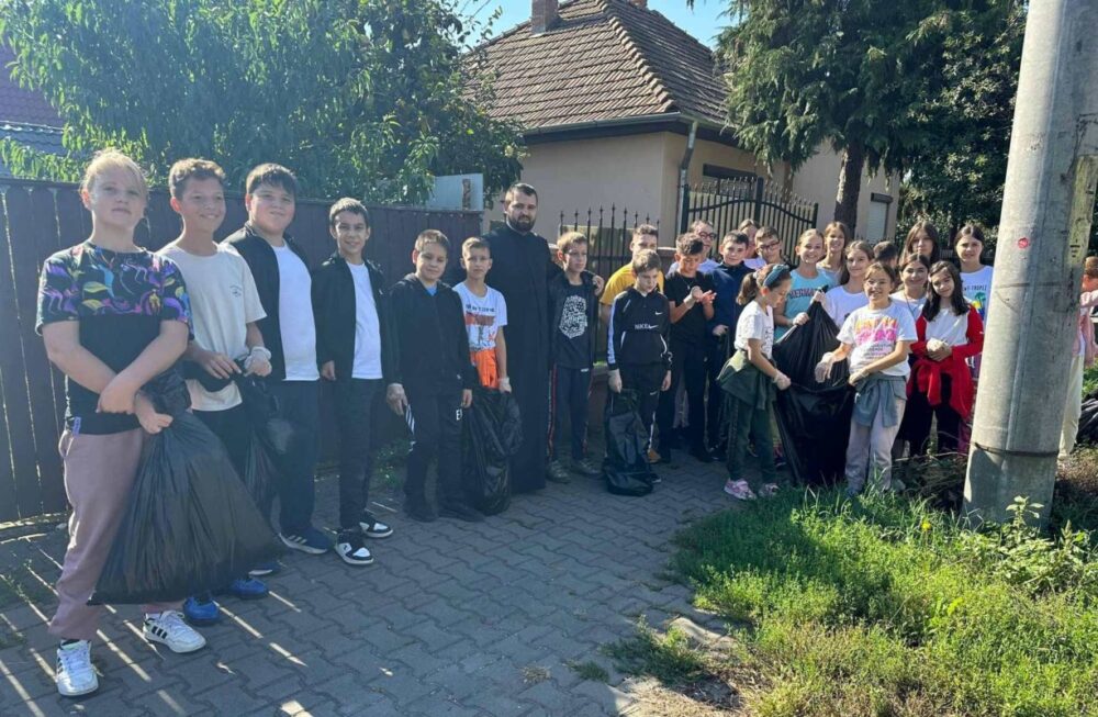 Actiune de ecologizare in targu mures