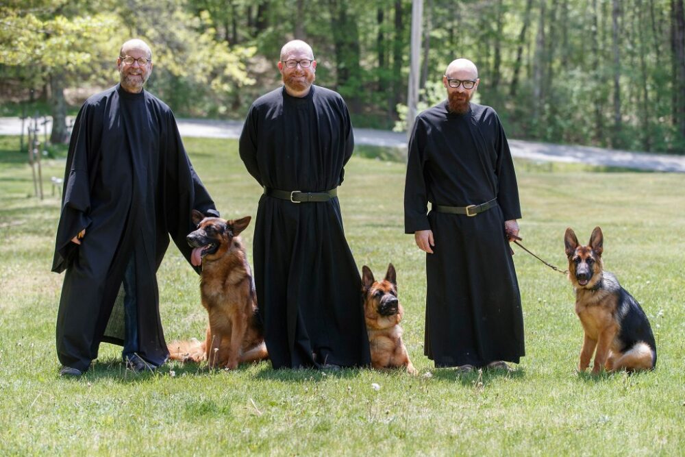 Monk dog
