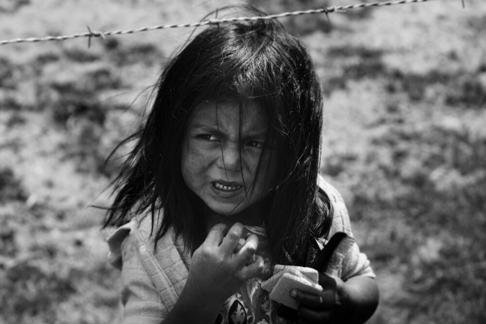 Roi dimor 320092 unsplash scaled