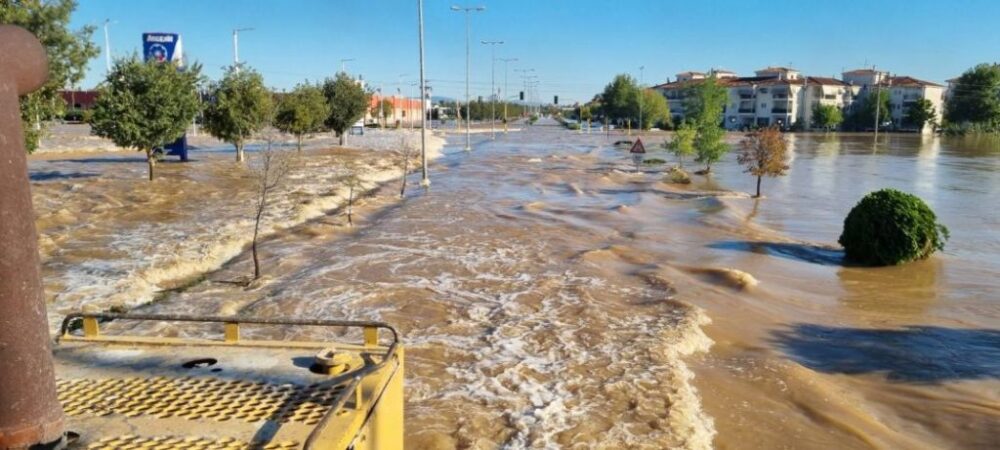 Trofodosia giannoulis 1 1024x461