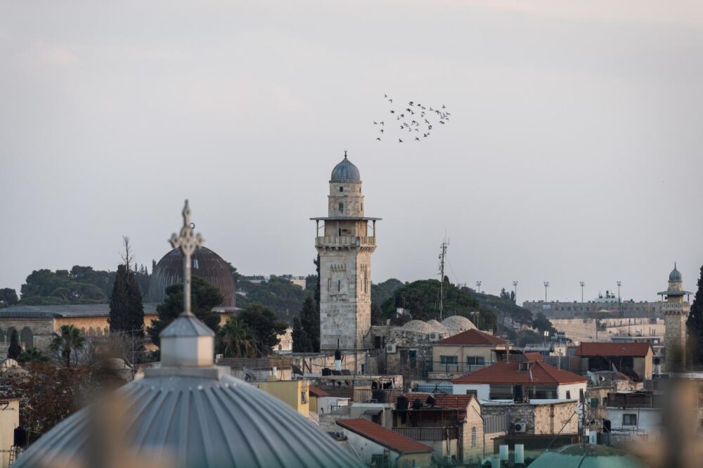 Palestine 2022 Hillert 20221122 AH1