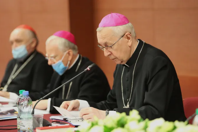 Polish bishops conference 391plenary session credit episkopat.pl