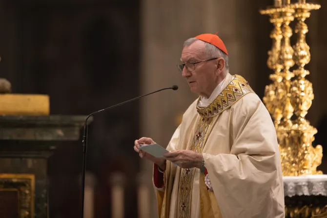 20221117holy mass for ukraine celebrated by h.em parolin daniel ibanez