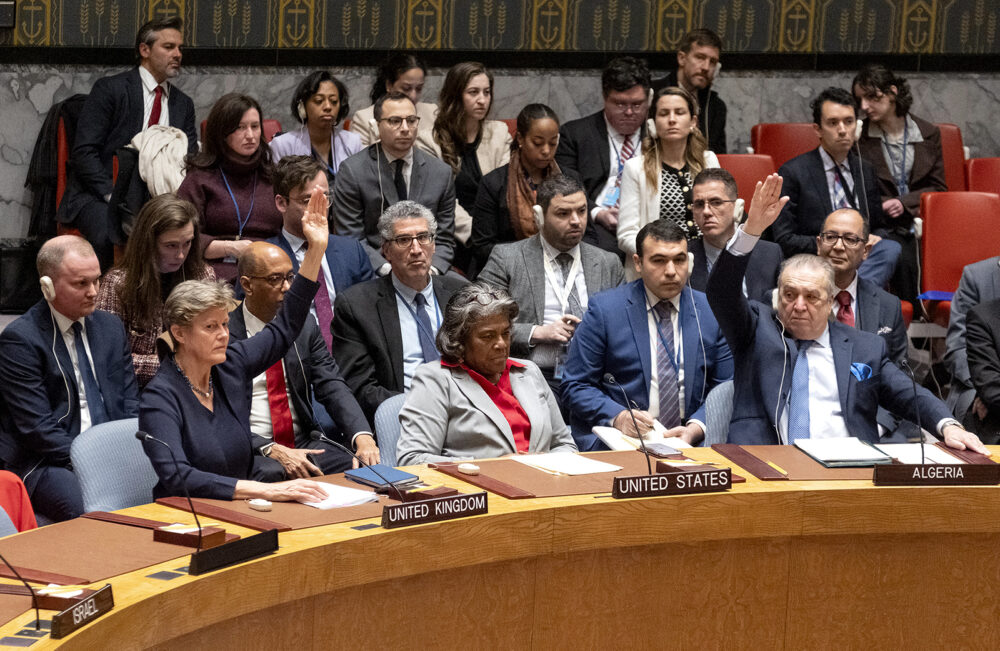 WebRNS UN Security Council1