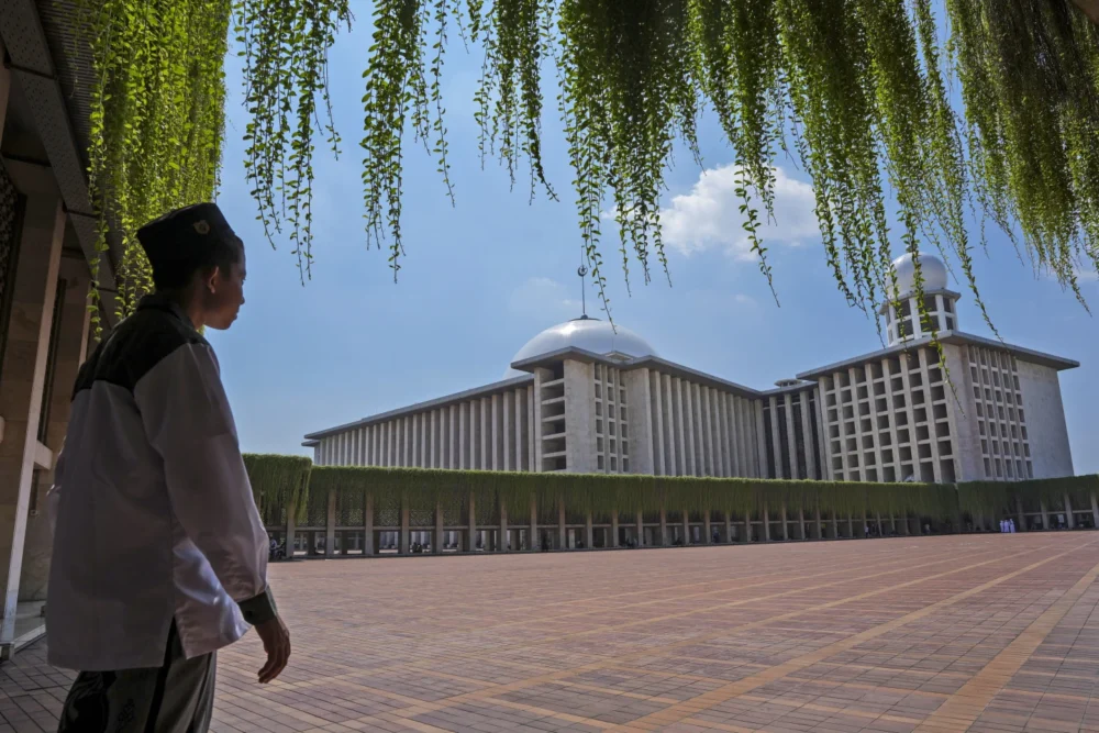Xfhtdfvx