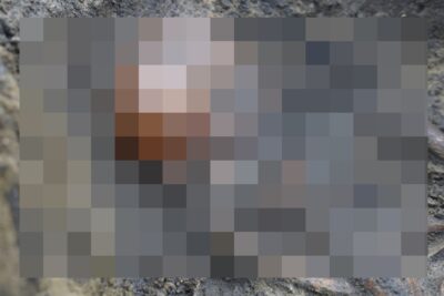 Ap242824474515992222