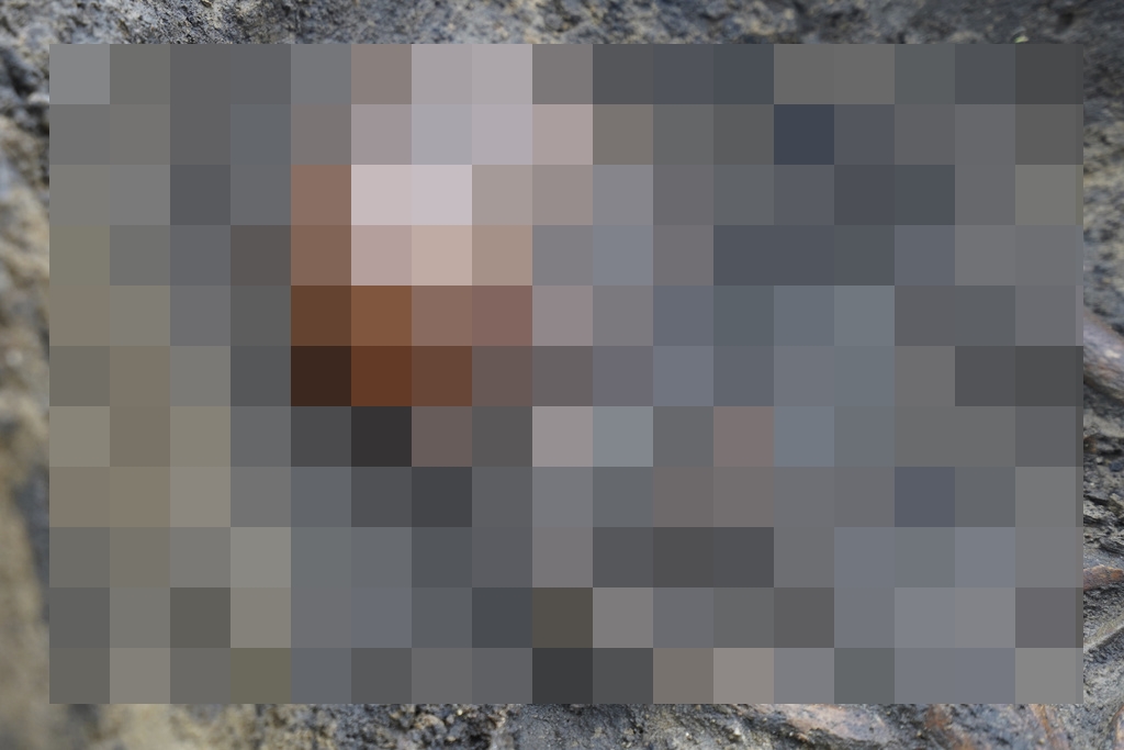 Ap242824474515992222