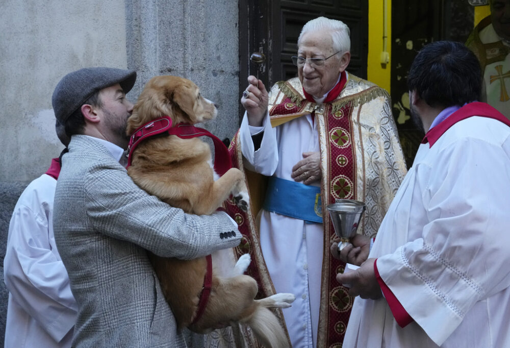 Spain Animal Blessing