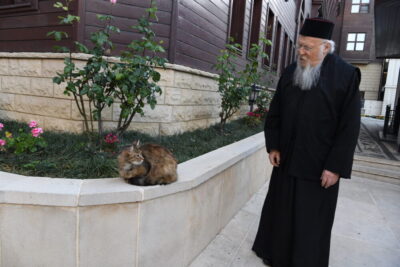 Bartholomaios Karantina 9 19 375757