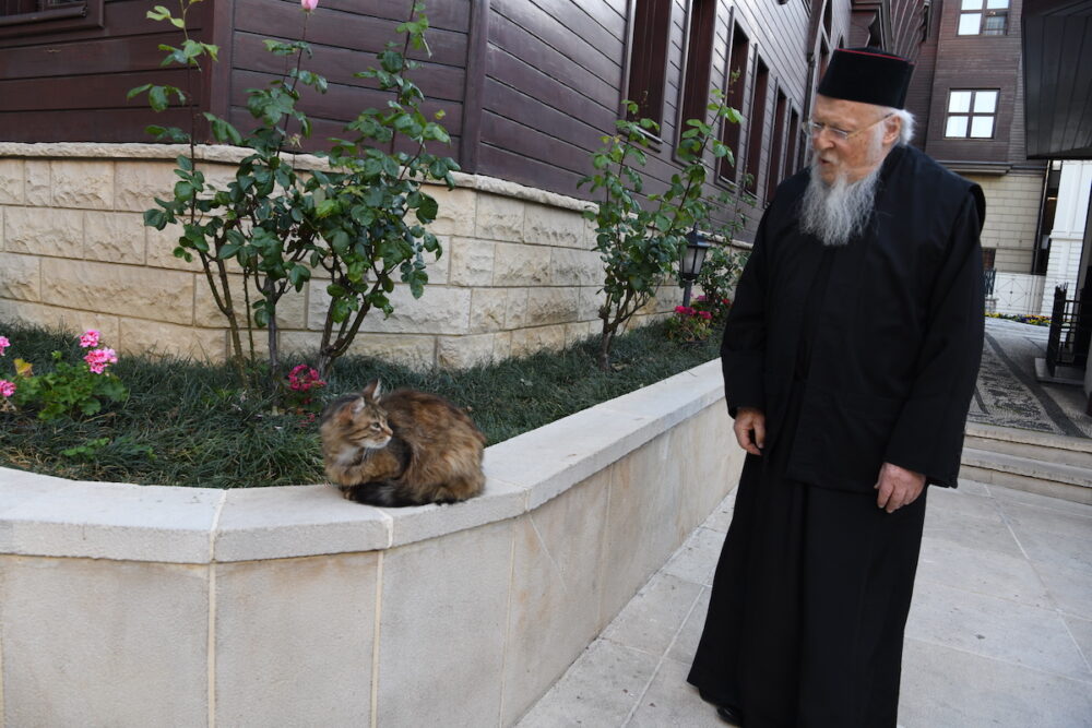 Bartholomaios Karantina 9 19 375757