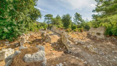 Beydaglari coastal national park and olympos ancient city 3