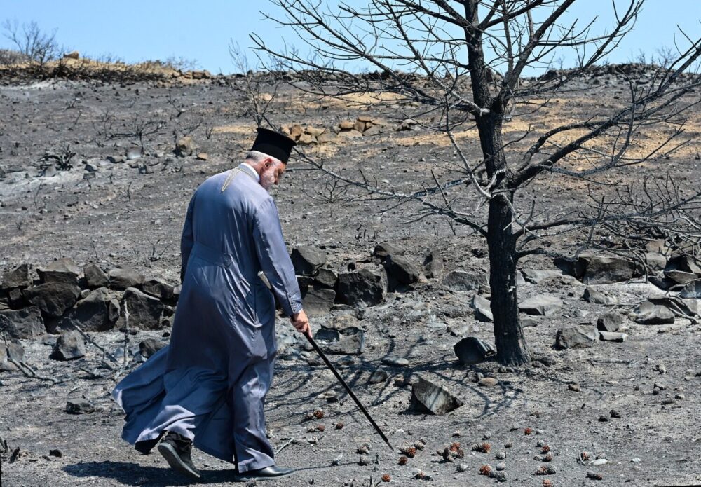 536275795 1414382300382878 904254964723837902 n