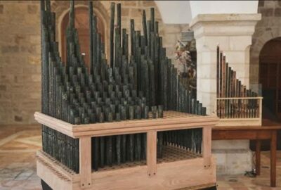 11 organ 1