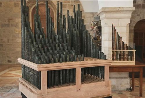 11 organ 1