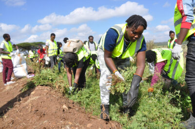 WebRNS Kenya Francis2
